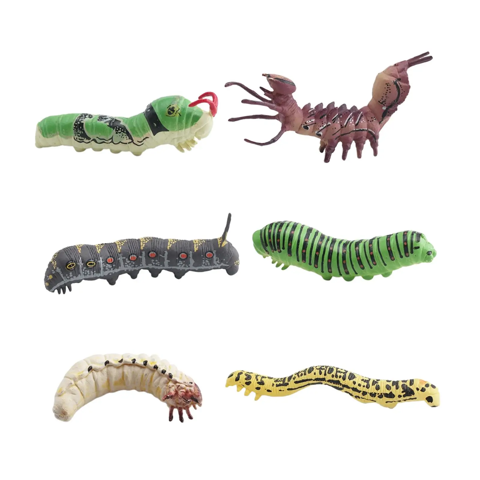 3D Animal Model Toy Simulation Caterpillar PVC Figure Educational Decoration for Kids Cognitive Nature Study