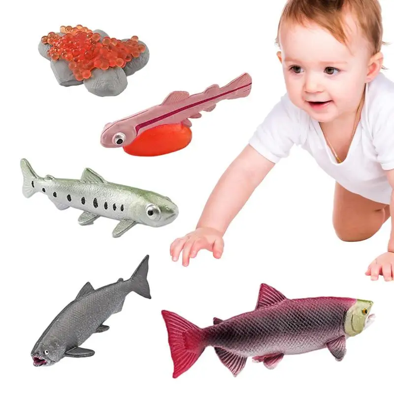 Life Cycle Set Realistic Animal Figurines Science Learning & Education Toys Teaching Aids Montessori Toys Gift For Girl & Boy