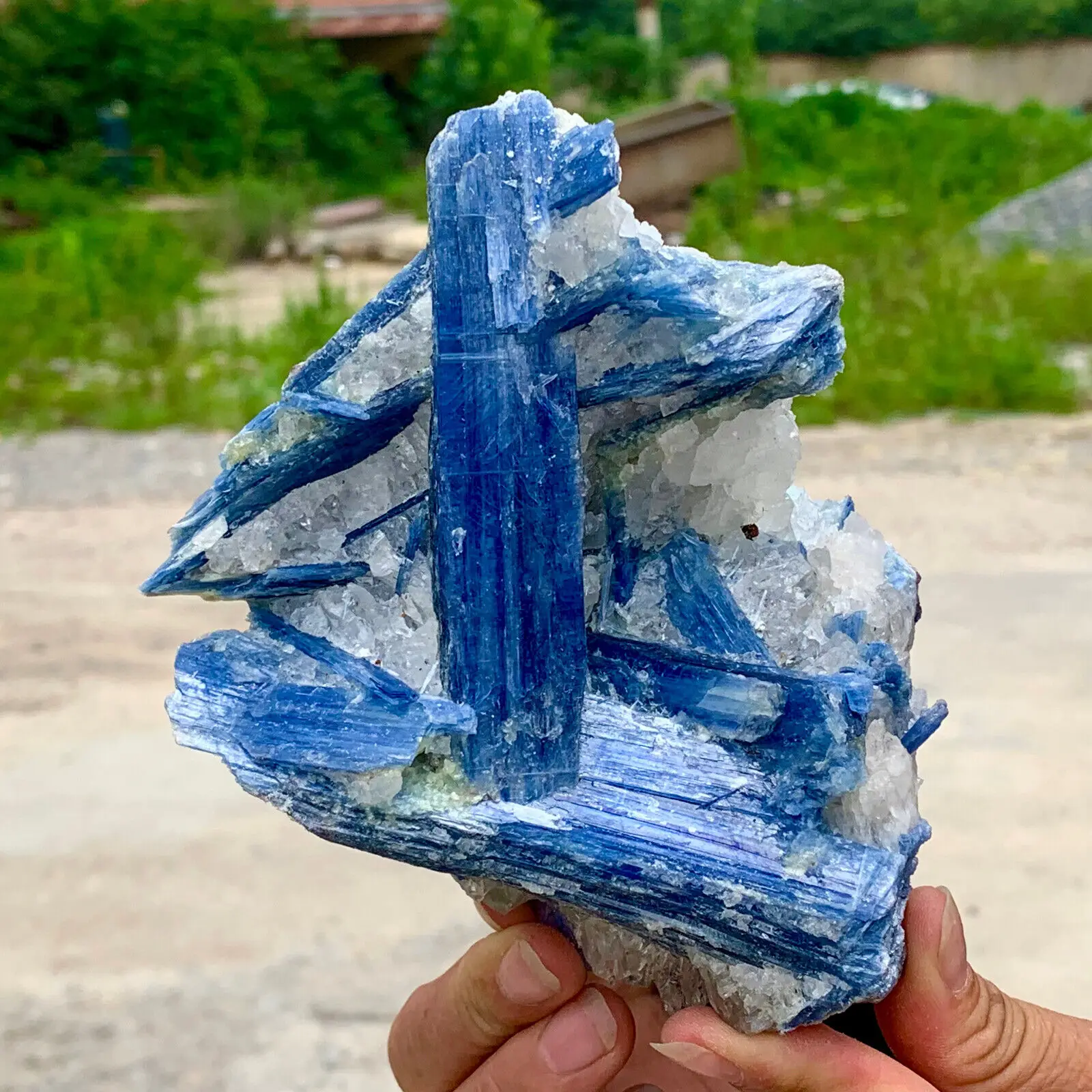 Natural Blue KYANITE with Quartz Crystal Specimen Rough Reiki Healing