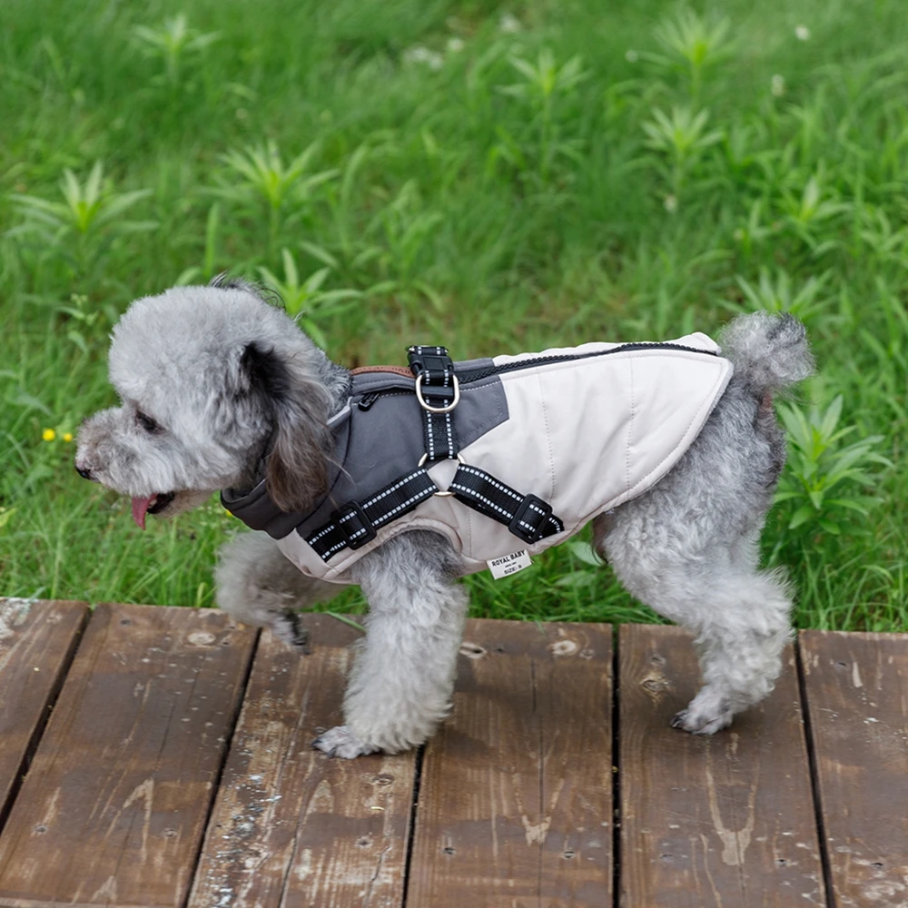 Pet Vest Dog Warm Jacket with Harness Winter Warm Dog Clothes for Labrador Small Dog Coat Chihuahua French Waterproof Outfits