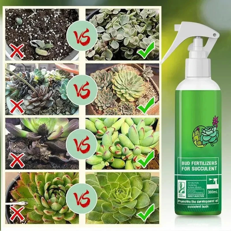 300ml Bud Fertilizers for Succulent Plant Bursting Element Foliar Fertilizer Promoting Growth Bursting Buds Nutrient Solution