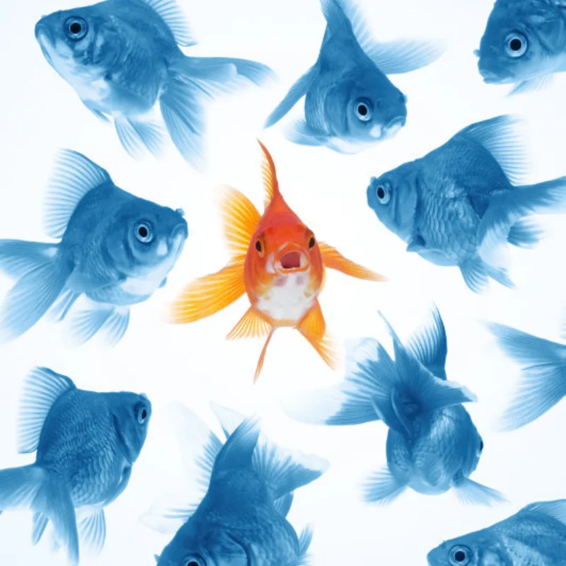 

Алюминиевый обод ступицы колеса с ЧПУ Rc Jeep 2,9 дюйма для 1/6 RC Crawler Car Axial SCX6 Je ep JLU Wrangler