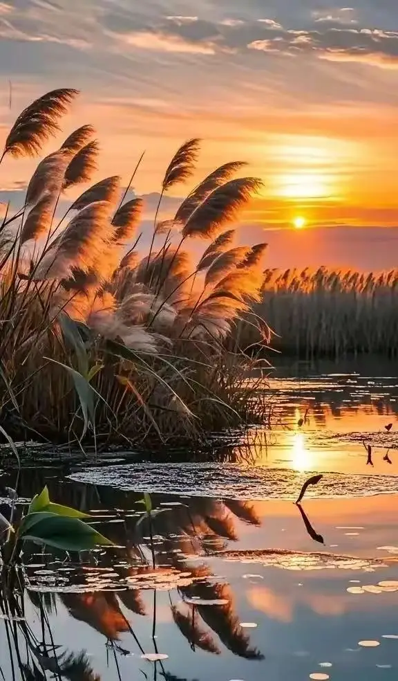 

EMSzero Neo Portable Electromagnetic Body Emszero Slimming Muscle Stimulate Fat Removal Body Slimming Build Muscle Machine