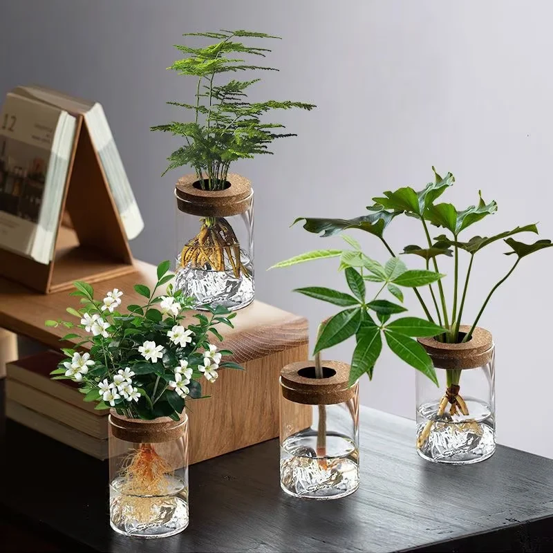 1pc Hydroponic Plant Vase With Wood Lid Transparent Seedling Pot For Indoor Hydroponic Gardens Gardening Accessories
