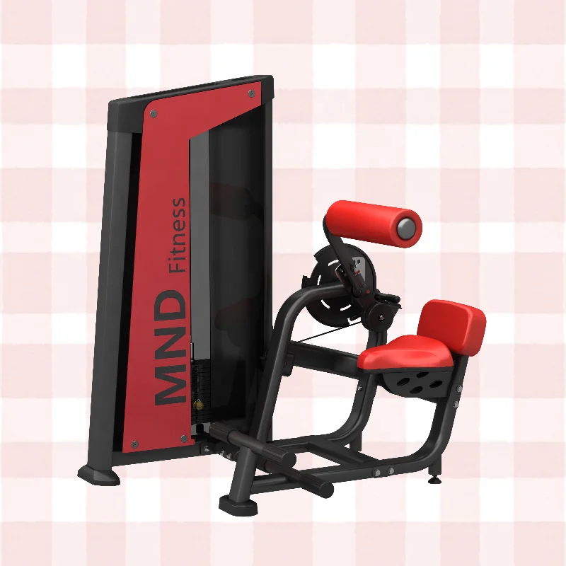 

Professional Muscle Exercise Function Strength Training Machine FH85b Abdominal/Back Extension Commercial Fitness Equipment