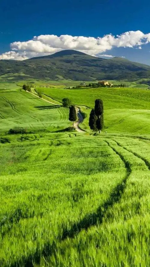 

BAYCK Nano Dual Band TX Module 915MHz/2.4GHz ELRS 1W RF Modules Dual/Single Antenna Built-in Cooling Fan For RC FPV Drone