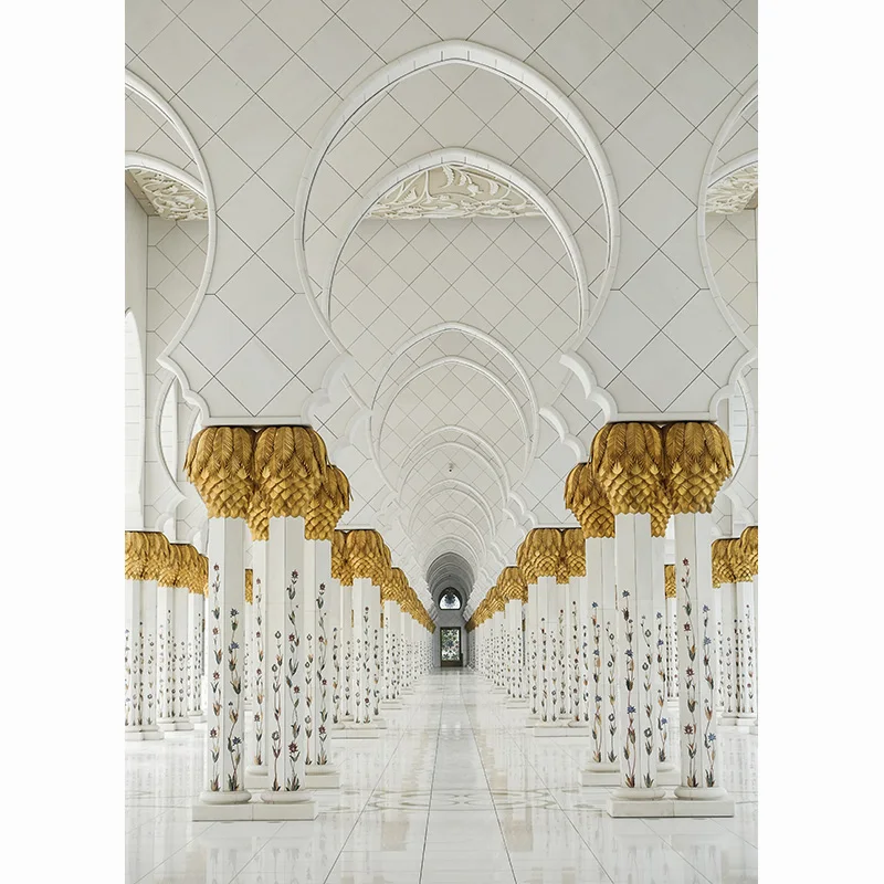 Fondos de fotografía clásicos Retro de palacio de estilo europeo, accesorios de arte, castillo, estudio de arquitectura, Fondo de ZS-08