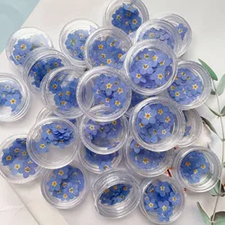 20pcs Mini Petal Botanical Specimen Bookmark Nail for Resin Mold Jewelry Filling Epoxy DIY Nail Art Decorative Dried Flowers