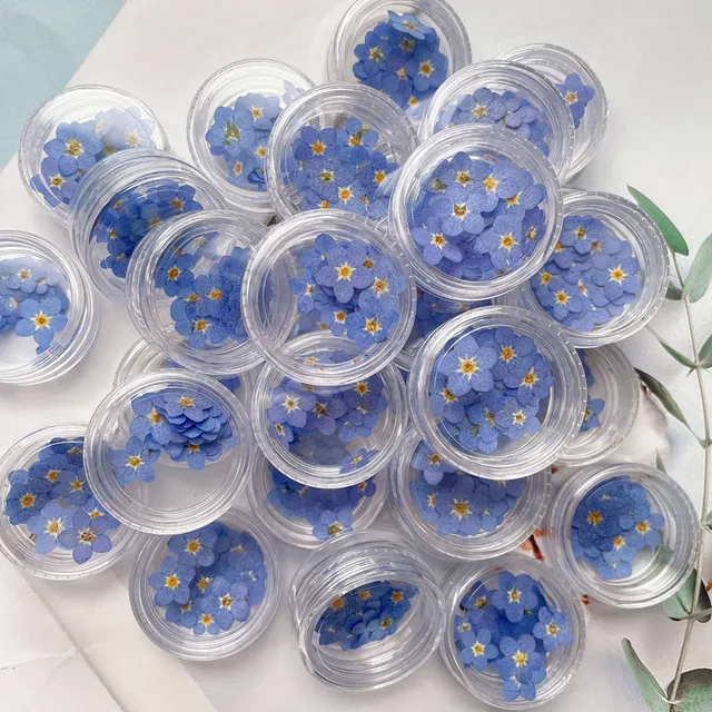 20 szt. Mini płatki botaniczne z zakładką do paznokci do formy żywicznej, wypełniająca biżuterię epoksydową do zdobienia paznokci dekoracyjne suszone kwiaty