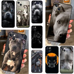 Pit Bull Lovely Dog Pitbull Case For iPhone 16 11 12 13 14 15 Pro Max Plus 13 Mini X XS Max XR Plus Cover Coque
