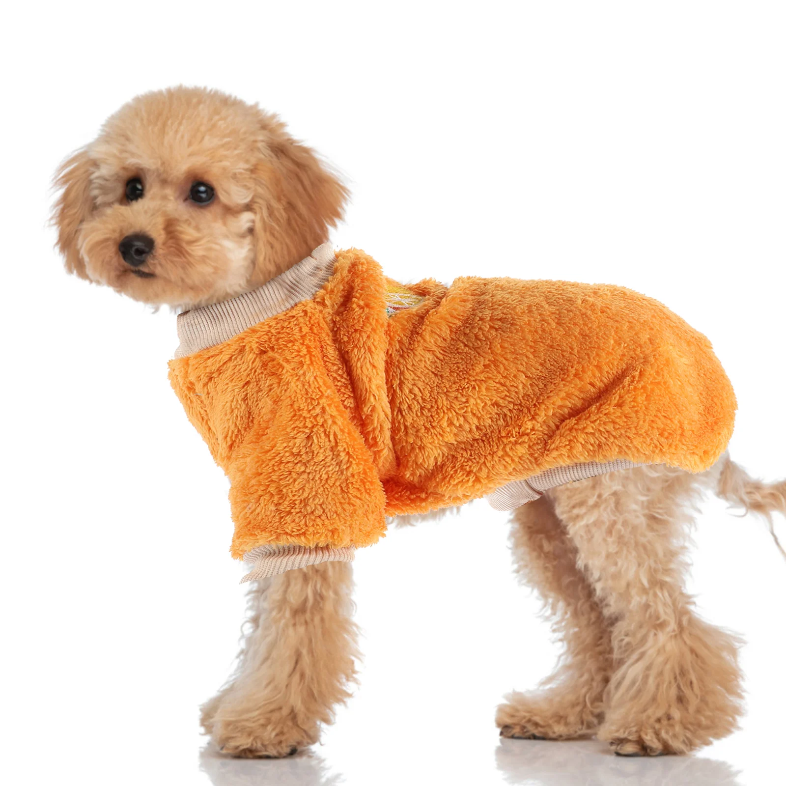 Kleding voor huisdieren Fruitpatroon Hondenkleding Puppy Warme jas Kleding Winteroutfit Kostuum