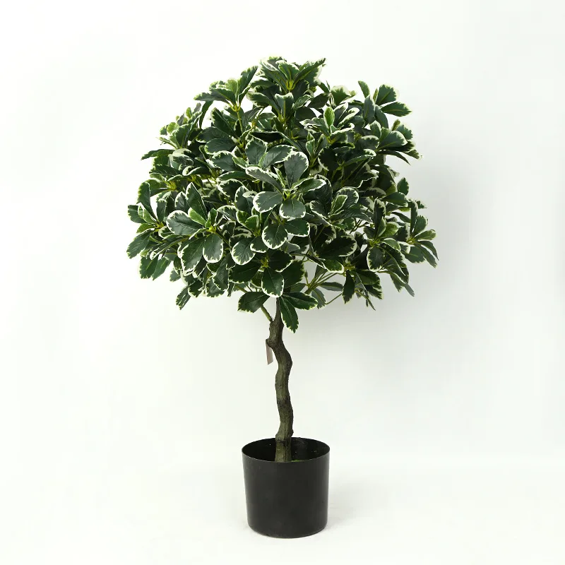 

New Simulation Potted White Border Tung Tree Artificial Green Plants Fake Bonsai For Home Office Hotel Study Greening Decortion