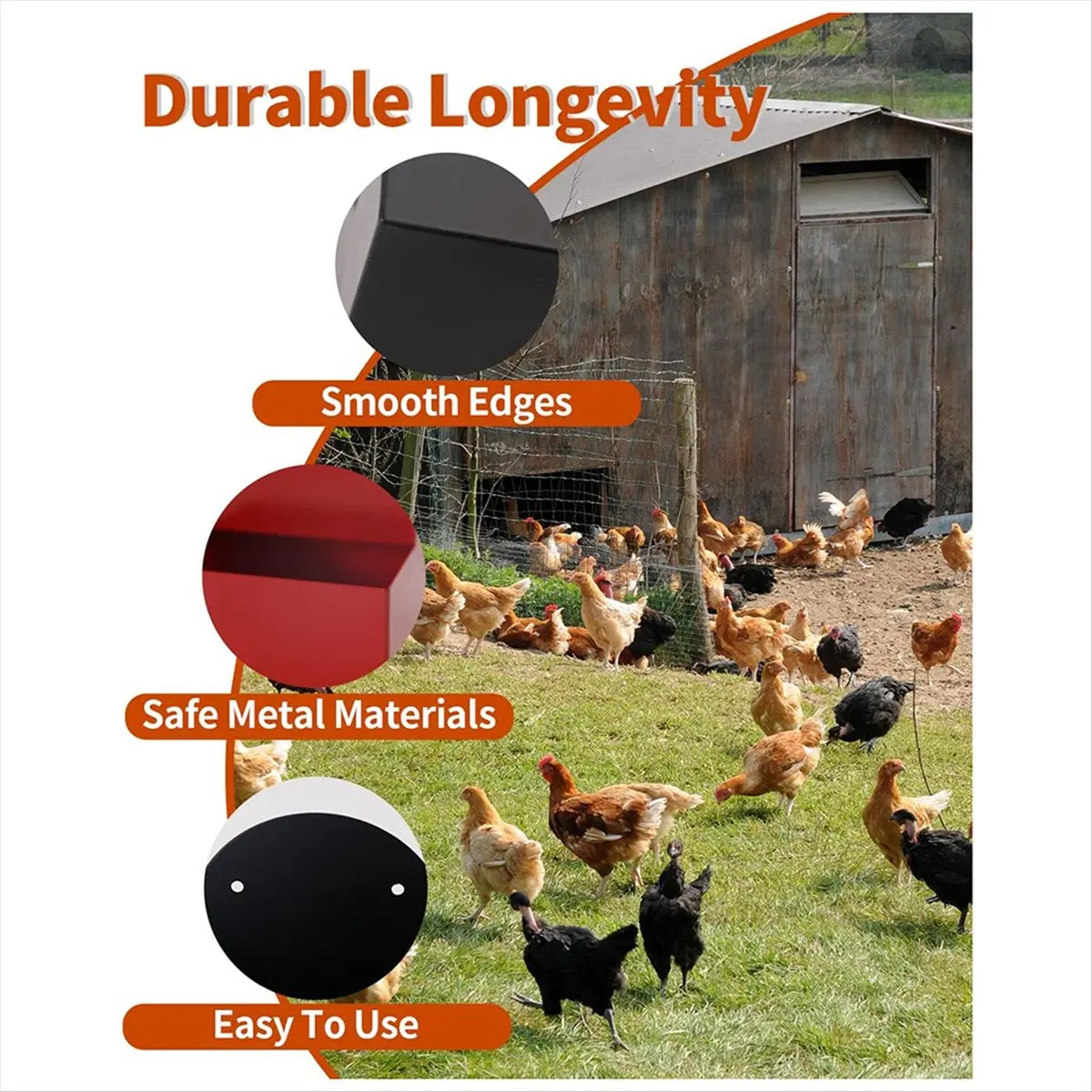 2026 Trend Chicken Oyster Shell Feeder and Grit Feeder Metal Chicken Coop Accessories Automatic