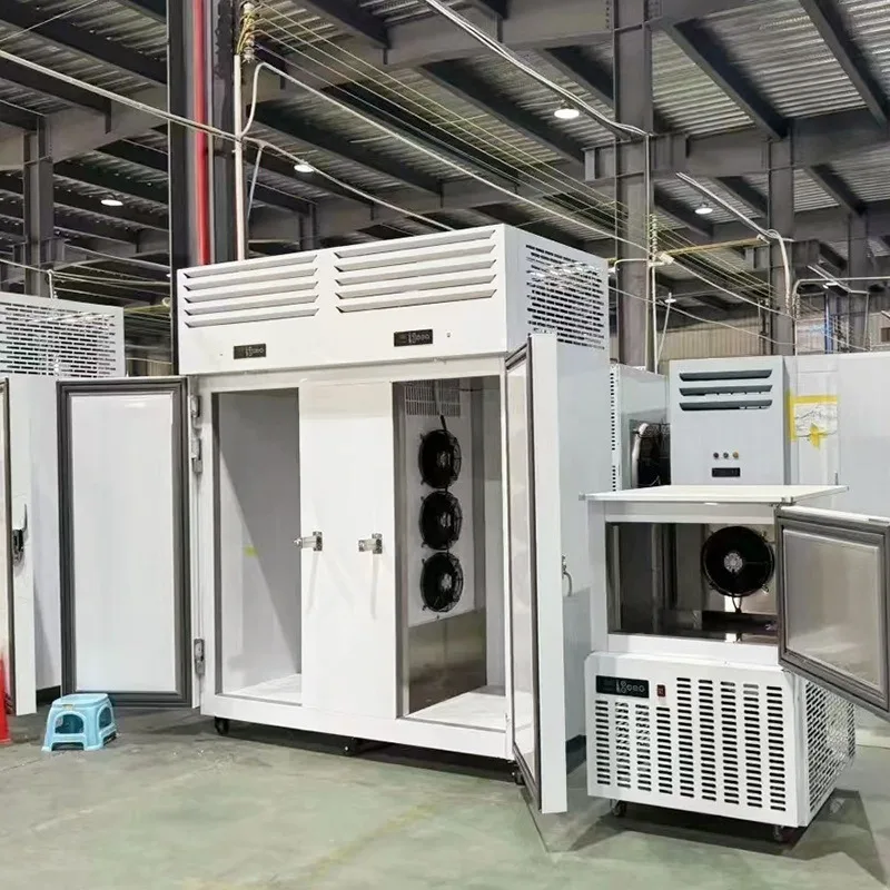 30 plates ultra-low temperature insertion plate quick freezer commercial durian seafood bun double door trolley