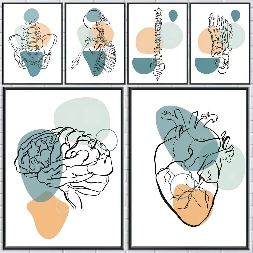 ملصق على شكل قلب للتشريح الطبي ملصق مثالي ذاتي اللصق مصمم لمساحات تناول الطعام في المكاتب المنزلية #1