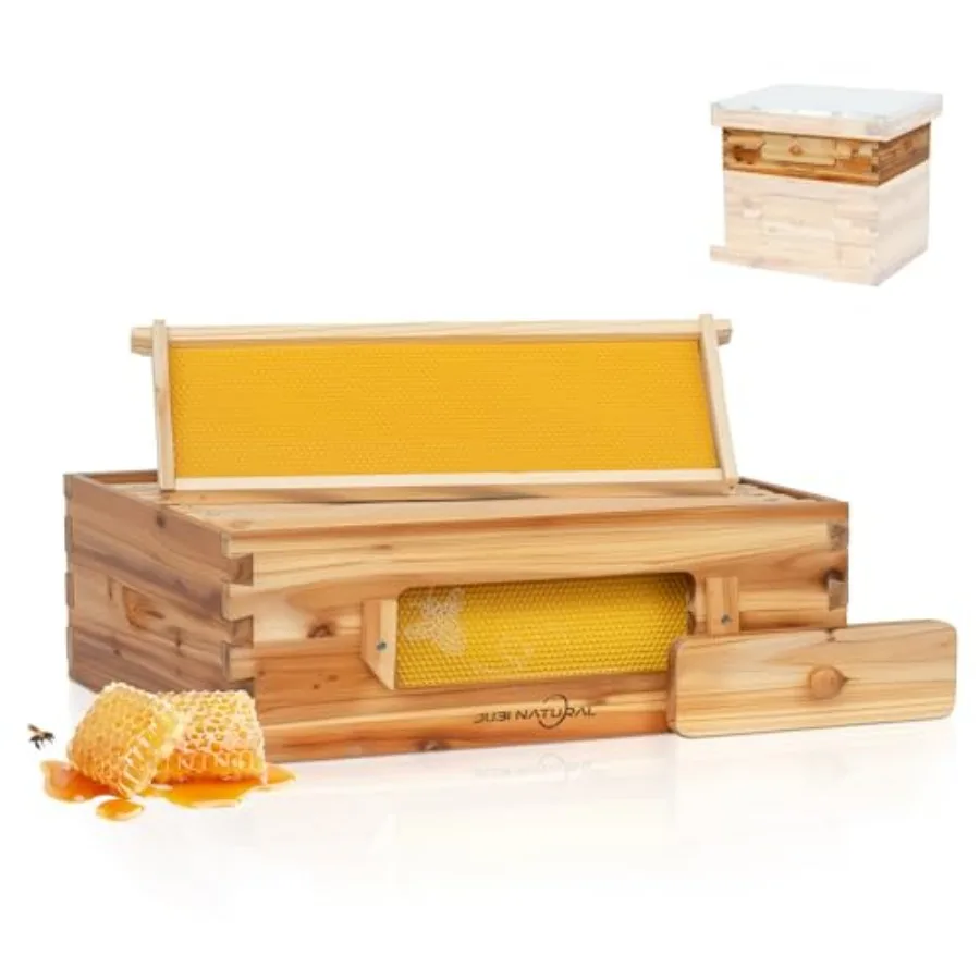 

10 Frame Langstroth Super Hive with Frames and Foundation, Beeswax Coated Cedar Honey Super with Observation Window, Standard B
