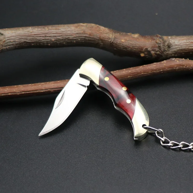 Draagbare Outdoor Zakmes Mini Fruit Mes Sleutelhanger Sharp Multifunctionele Emergency Rescue Snijgereedschap