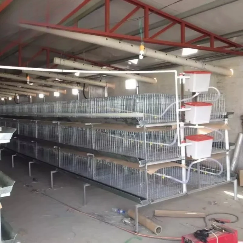 New Breeding Egg-laying Broiler Poultry Layer Cage House Farm Equipment Welding Galvanized Steel Wire Welding