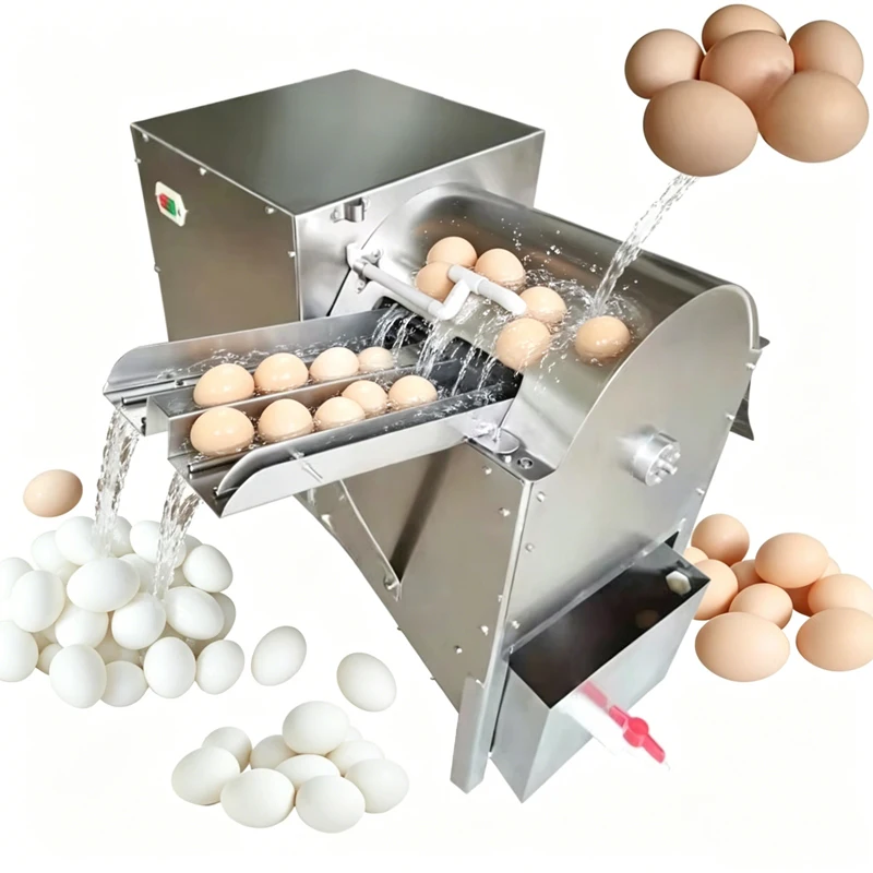 Custom High Quality Automatic Egg Washing Machine Water Spray Roller Brush Cleaning Stainless Steel for Poultry Processing