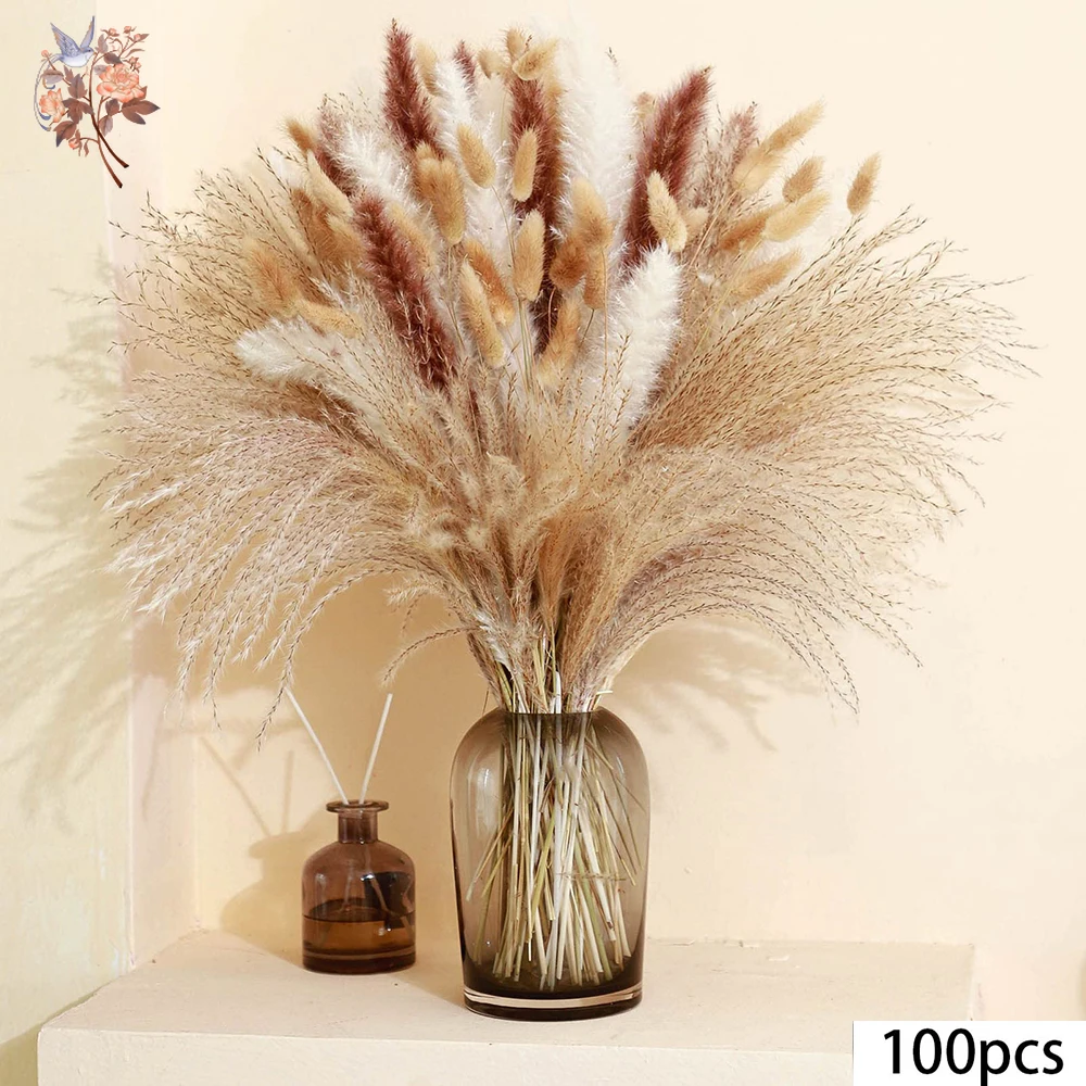 100 قطعة من الزهور المجففة الطبيعية رقيق بامباس الديكور الزفاف الحقيقي أرنب ذيول العشب باقة بوهو ريفي ترتيب المنزل #3