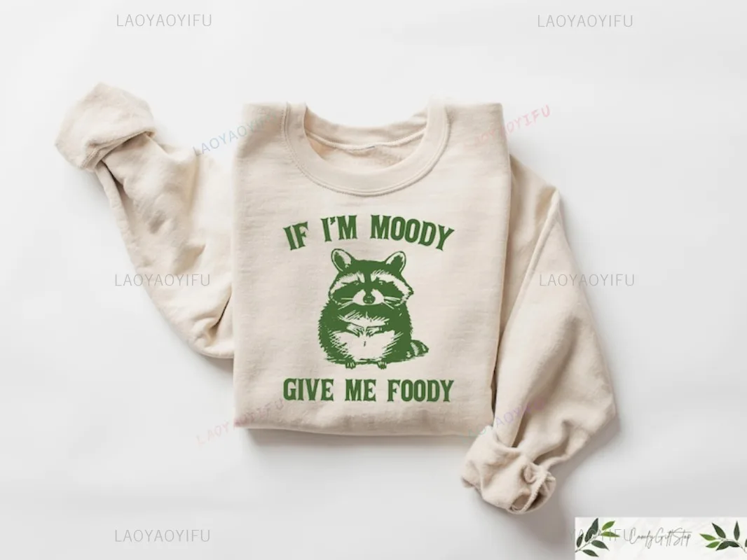 

Свитер с изображением ферал-енота, саркастический свитшот, эстетический женский джемпер, джемпер с рисунком в стиле бохо, милый енот, уличная одежда