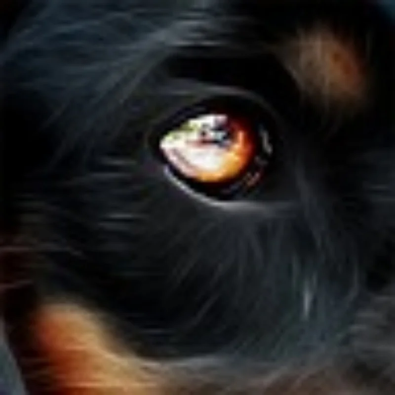 

Металлическая рамка шасси с каркасом, рама кузова радиоуправляемого автомобиля для 1/10 Axial RR10 90048/90053 RC Car DIY Rock Crawler