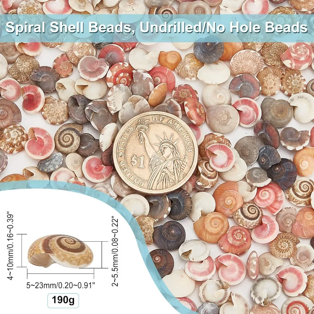 Tiny Sea Shells No Hole 190g Colorful Spiral Ocean Beach Seashells Small Turbo Shells Shell Charmd for Resin Party making kit