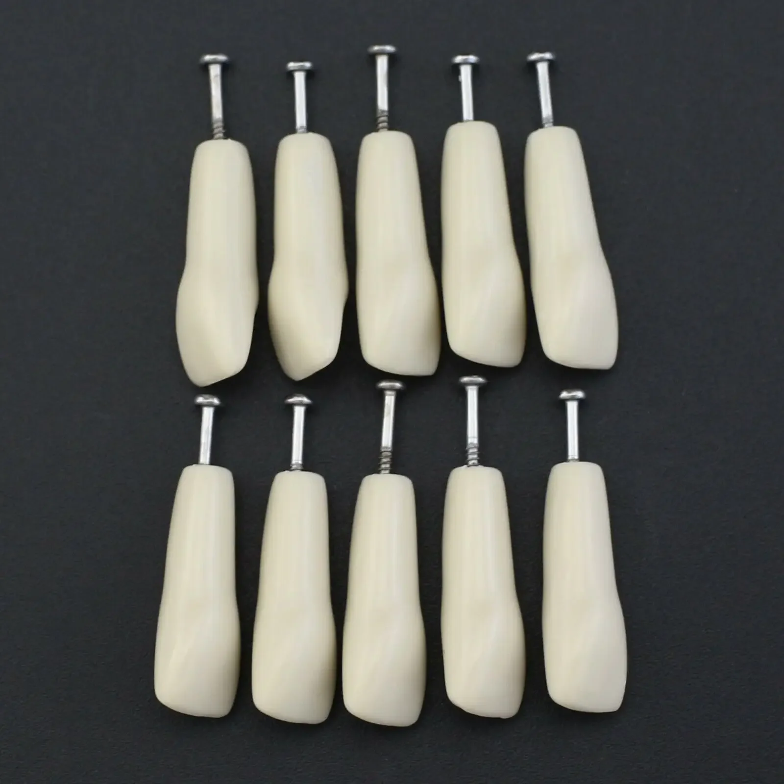 10pc/lot Dental Replacement Teeth Model For Columbia 860 Type Typodont #11 #13#16#26