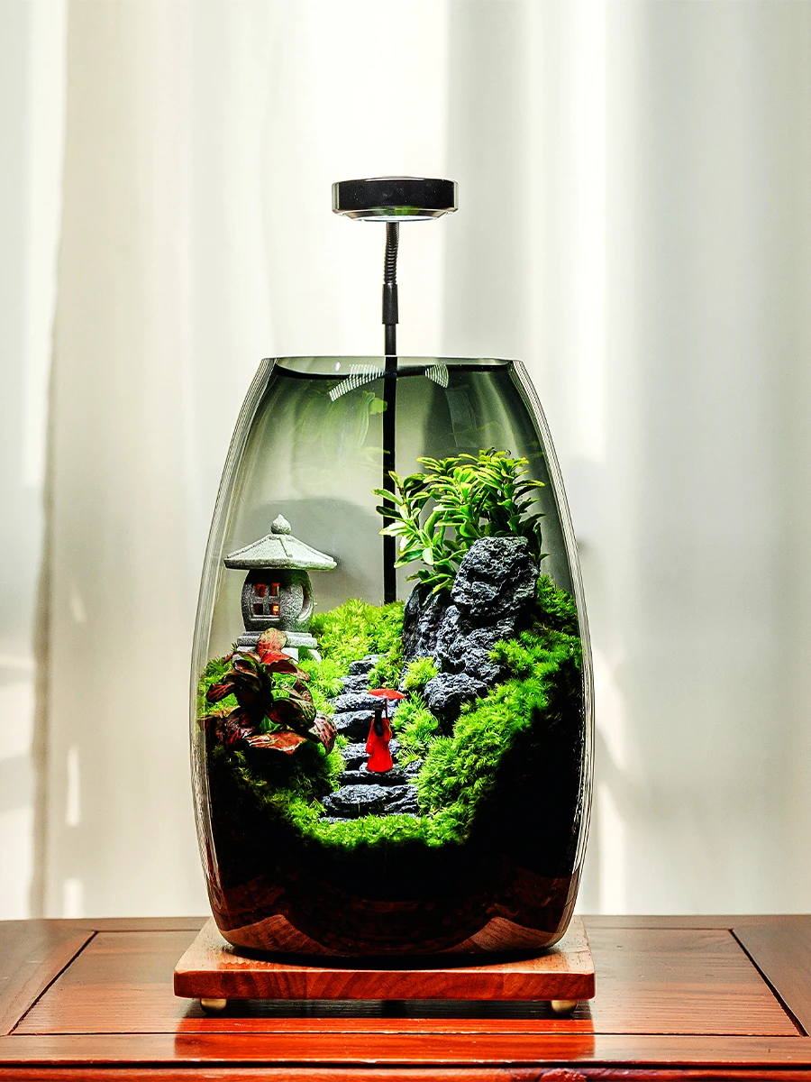 

Moss landscaping desktop plants green plants bonsai small ornaments forest ecology rainforest fish tank