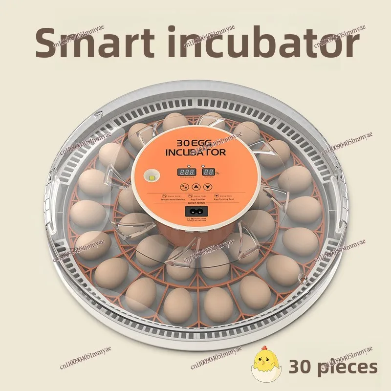 Fully Automatic Intelligent Poultry Incubator, Mini Egg Hatcher Breeding Equipment for Quail Chicken