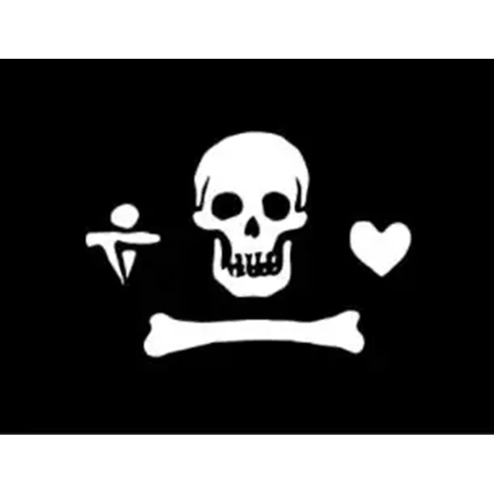 Custom 3'x5' POLYESTER flag of christopher moody 2X3FT with two grommet custom Pirates Boat Tours banner