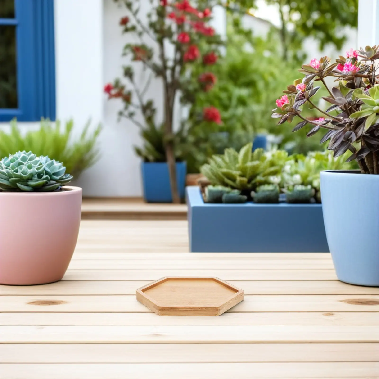 6Pcs Bamboo Plant Saucer Set Hexagonal Flower Pot Base Tray for Indoor Plants Kitchen Office Living Room Decorative Drip Tray