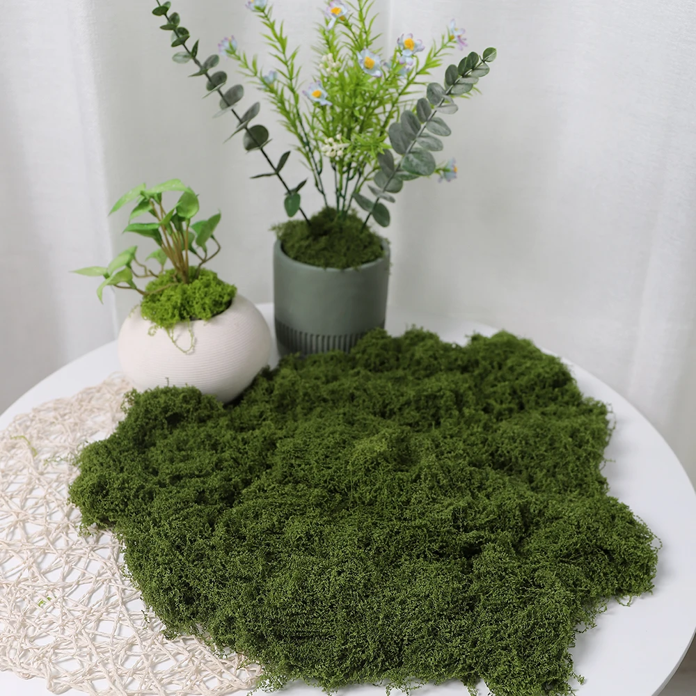30/50/100G Grüne Künstliche Pflanzen Moos Gras für Home Room Decor Garten Dekoration Mini Landschaft Gefälschte blume Handwerk Ornament – Detail 5