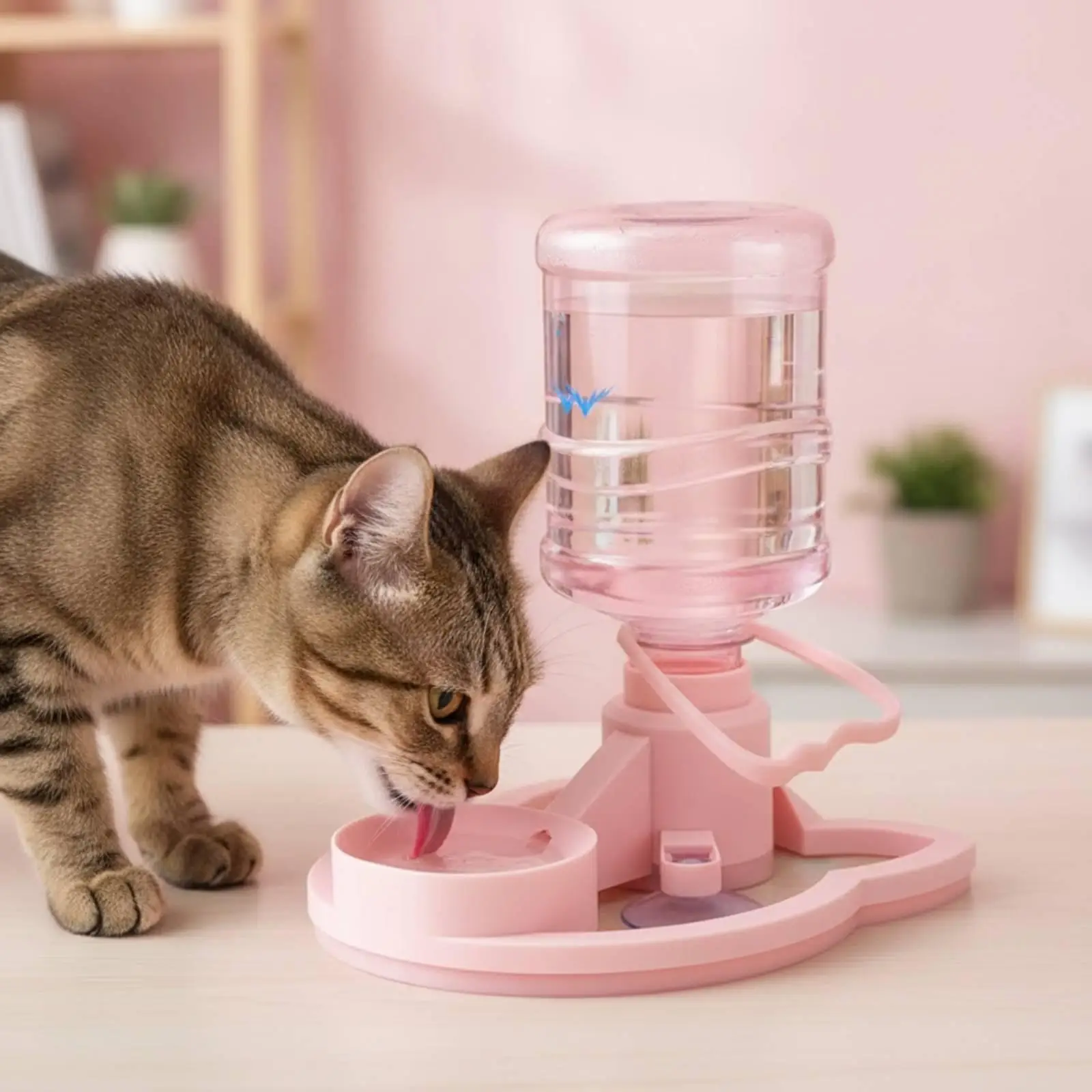 Fontaine à eau automatique surélevée pour chats, distributeur d'eau non électrique pour animaux de compagnie d'intérieur, usage domestique