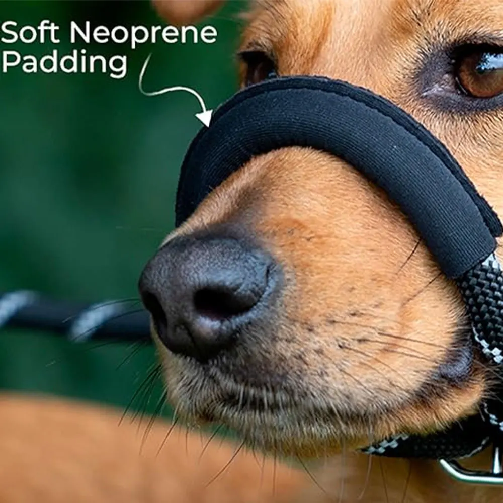 Adjustable Breathable Anti Barking Dog Muzzle Leash Set Bite Proof Durable Pet Combo for Outdoor Walking Training Daily Use Smal