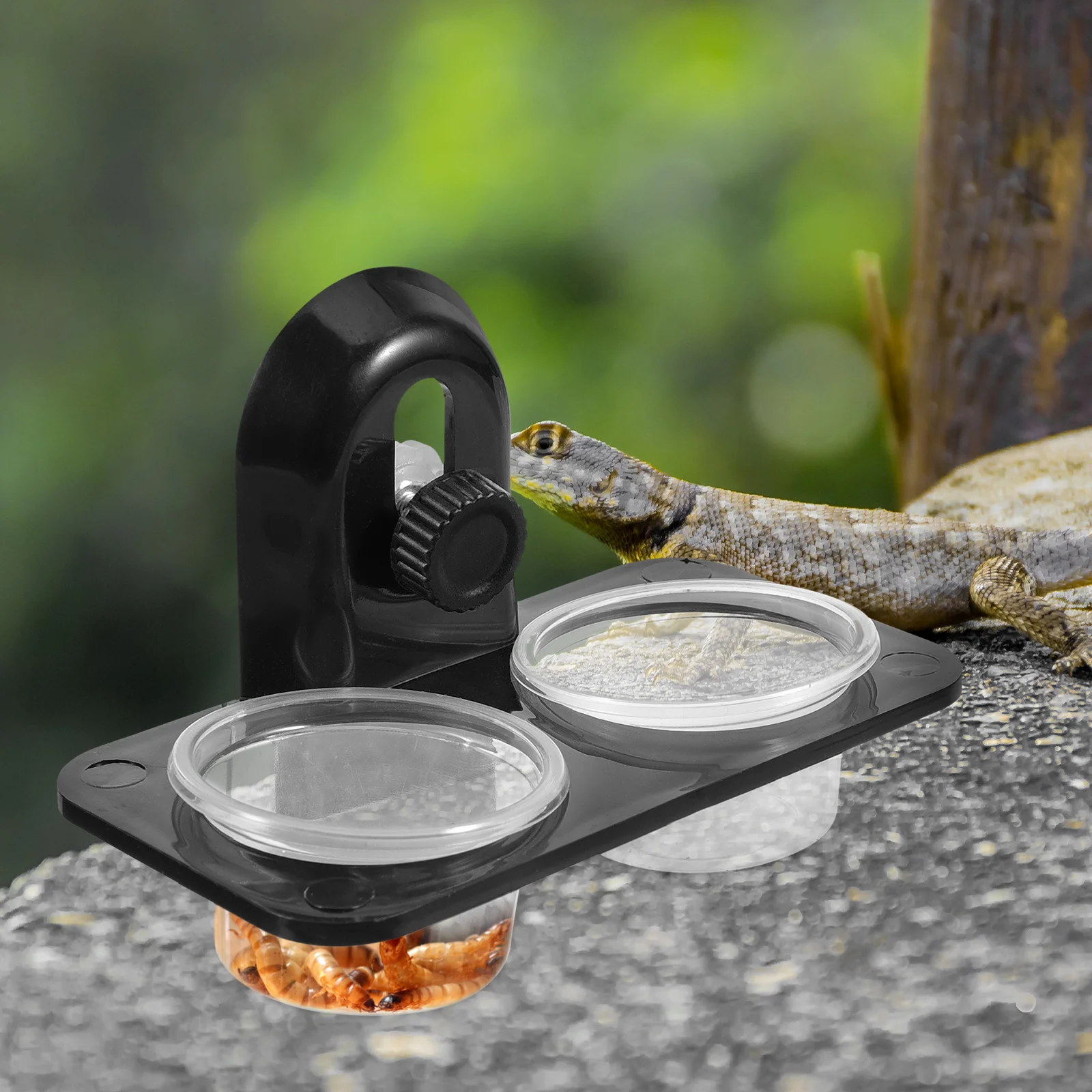 

Reptile Food Water Bowl Stable Wall Mounted Feeder Container Suitable for Lizard Turtle Gecko Scorpion Centipede