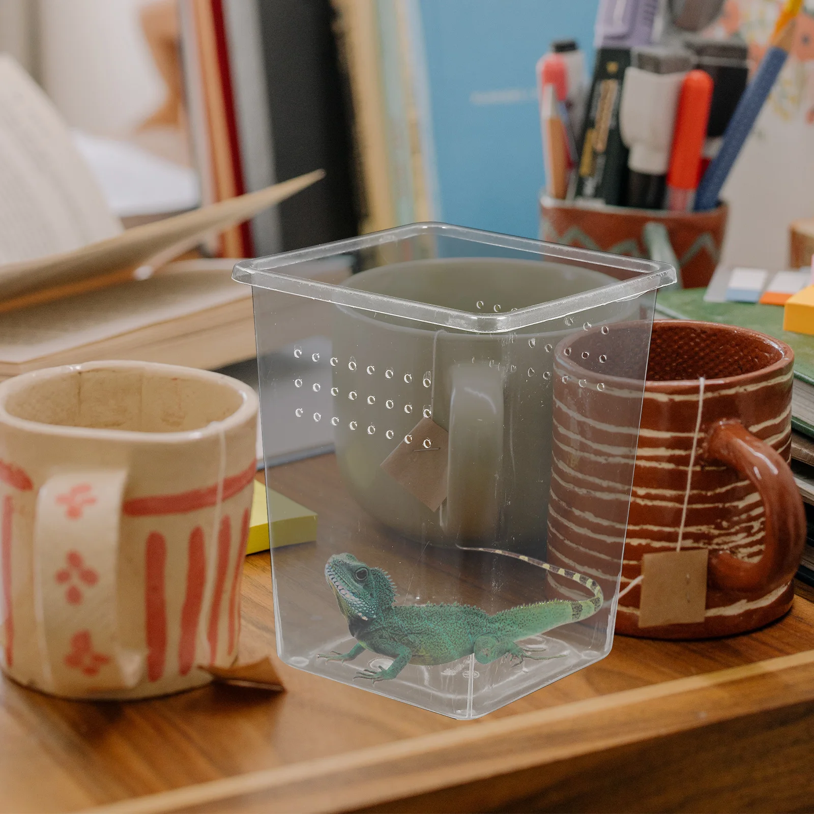 

3pcs Reptile Habitat Box Transparent Feeding Enclosure For Spider Lizard Turtle Frog Corn Snake Small Animal Breeding Tank