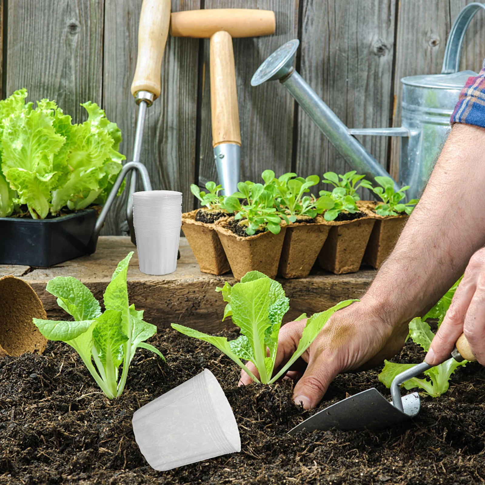 

40pcs Nutrient Cups Transparent Lightweight Plant Nursery Pots For Succulents Cuttings Seedlings Gardening Planting Containers