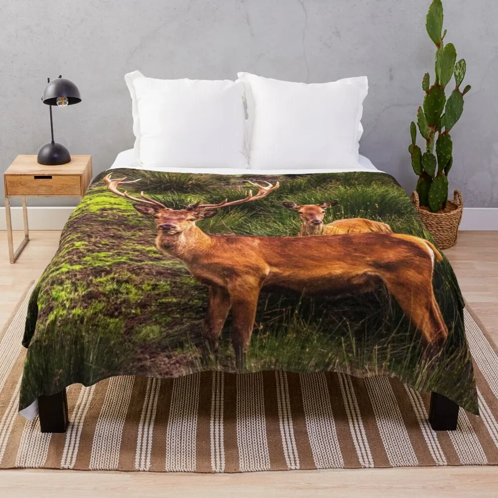 

Stag and Doe Throw Blanket Fluffys Large Multi-Purpose For Sofa Thin Picnic Blankets