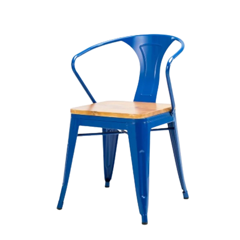 Chaises Ergonomiques de Luxe pour le Jardin et la Cuisine, Design Moderne, Chaise Confortable, Commode, Joyeux, Salle à Manger