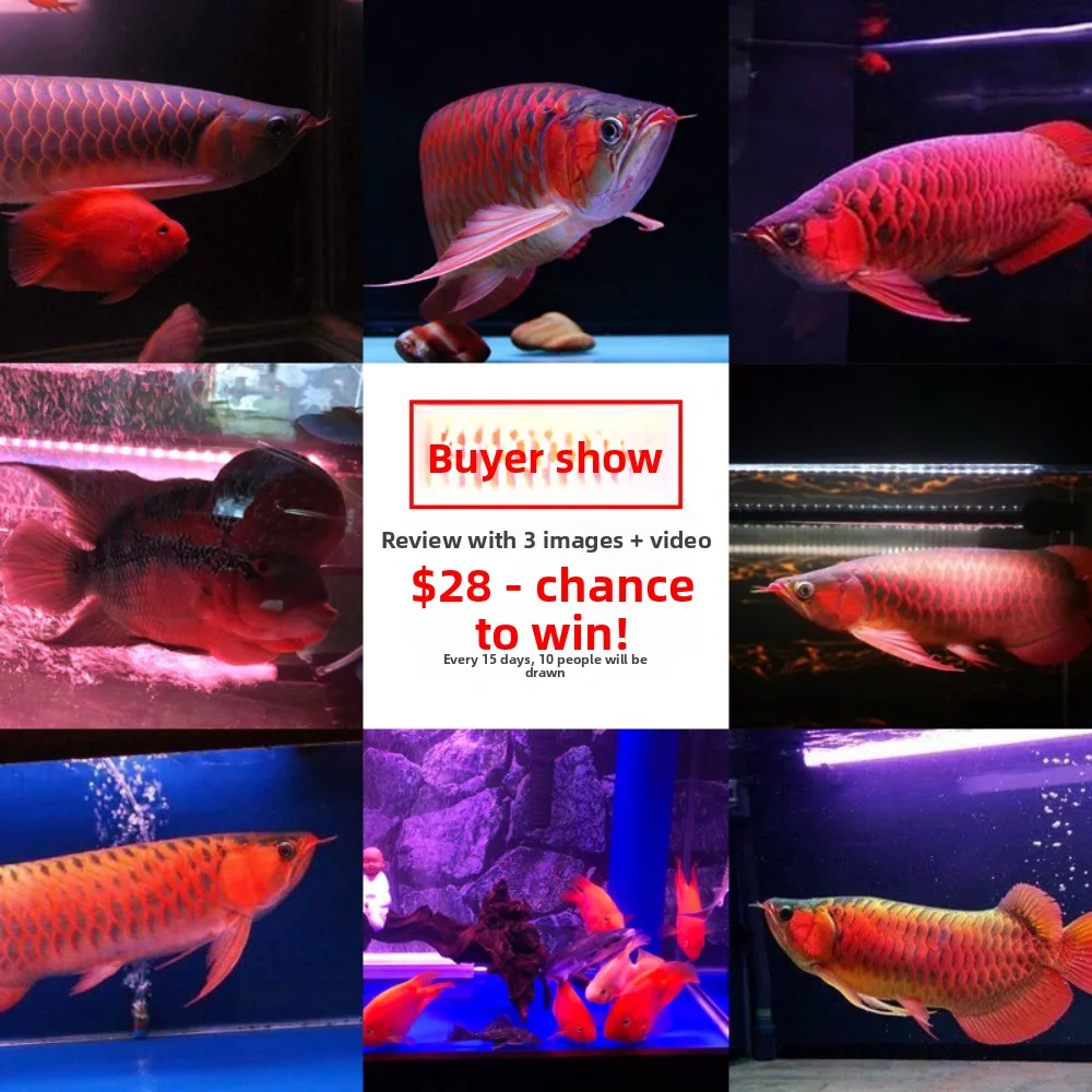 T8 Aquarium Light Enhancing LED Aquarium Lighting Submersible Waterproof Red Dragon Color Super Bright Special Glass Light Tube