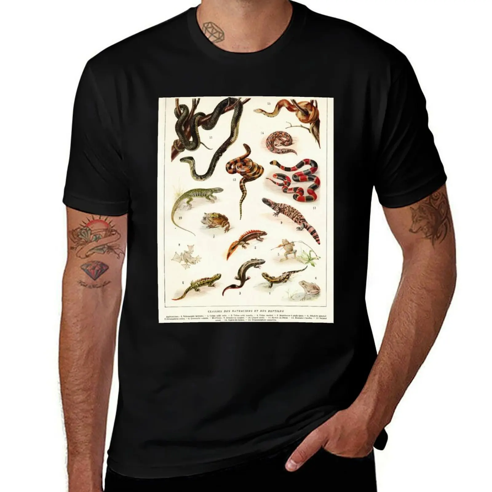 Adolphe Millot - Batraciens et reptiles - French vintage zoology poster T-Shirt Minimalist Graphic Tee Shirt T-Shirt