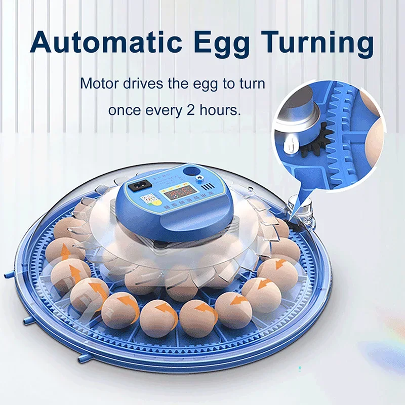 

8 Eggs Electric Incubator High Quality Intelligent Automatic Egg Turning Incubator 50Hz Frequency Mini Household Eggs Incubator