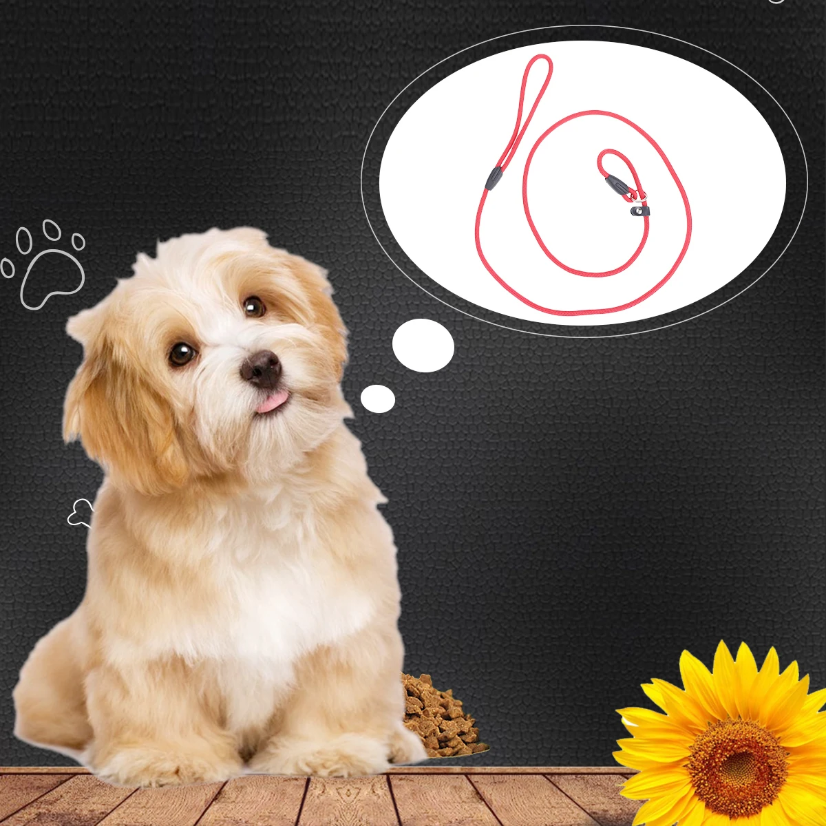

Pet dog leash Nylon lead rope Nylon leash and collar Training lead leash Dog collar leash