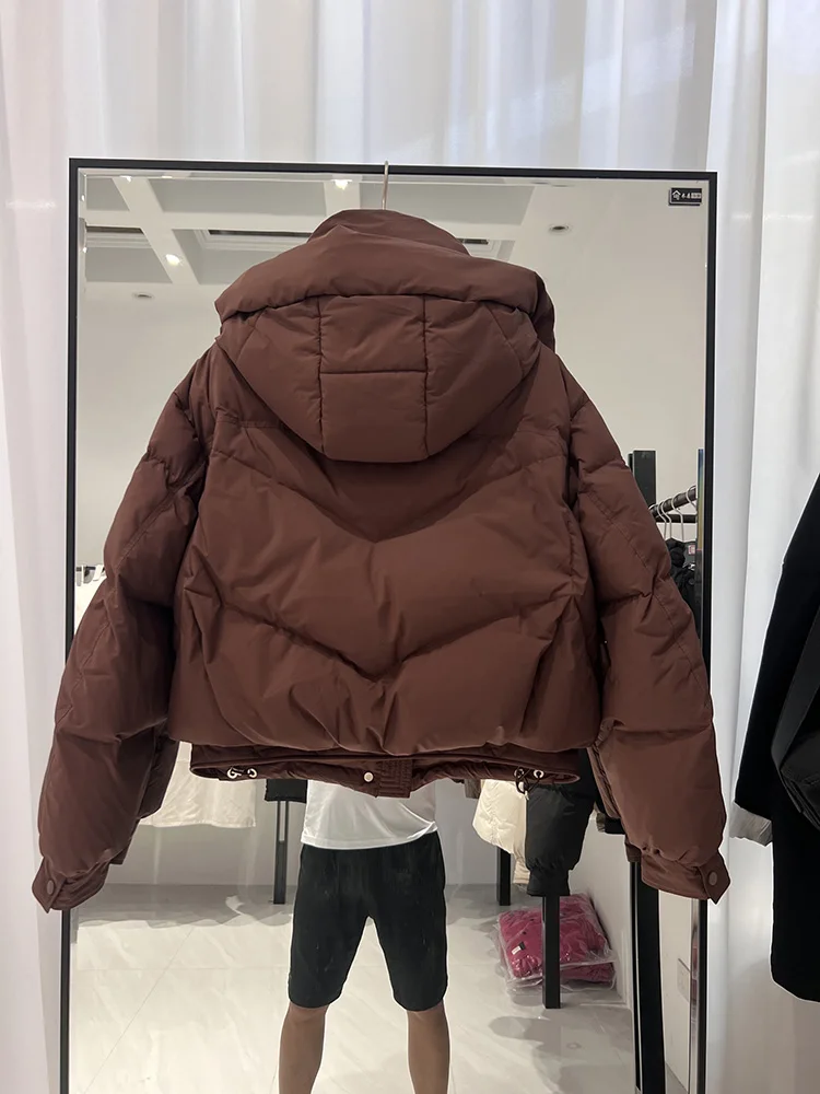 2025 hiver nouvelle mode doudoune femmes mode à capuche décontracté polyvalent couleur unie court blanc canard vers le bas manteau