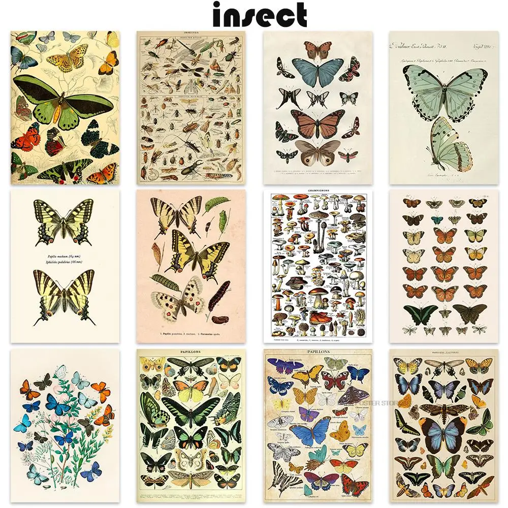 

Botanical Educational Poster Butterfly Insect Poster Living Room Posters Fruit Birds Fish Animal Posters Bedroom Cafe Painting