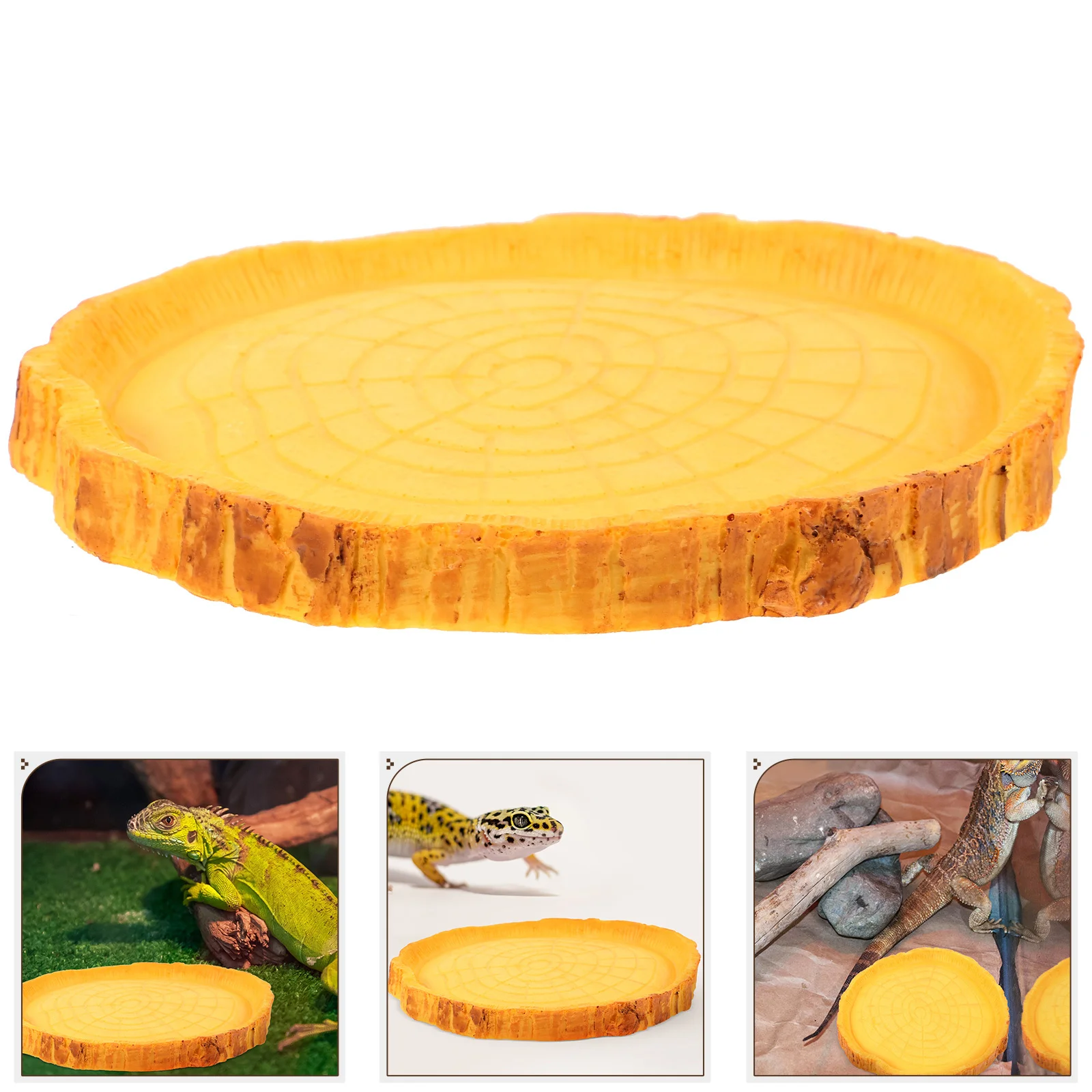 

Safe Resin Reptile Feeding Bowl Water Dish for Small Animals Durable Easy to Clean Stable and Wear Resistant Reptile Food Bowl