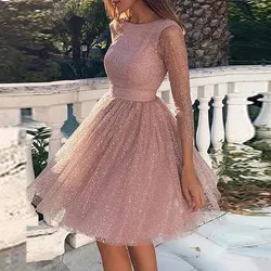 2024 Spring Hollow Out Backless Lace Party Dress Women Sexy O-neck A-Line Princess Dress Summer High Waist Ladies Mini Dress