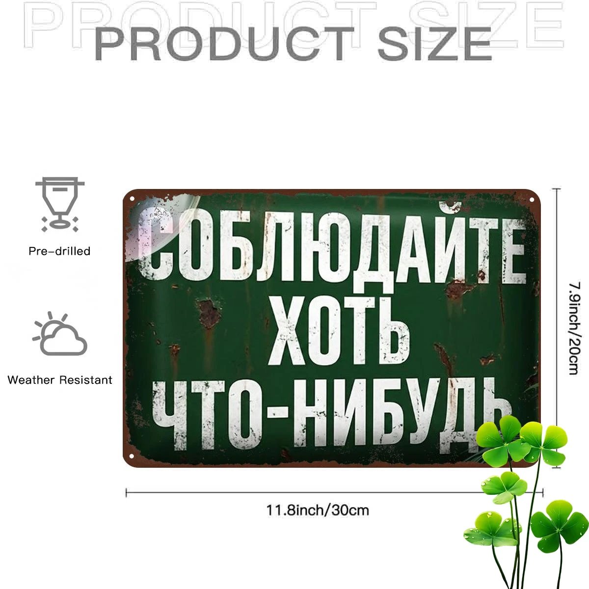 2D Flat, 2D Flat 1pc, 