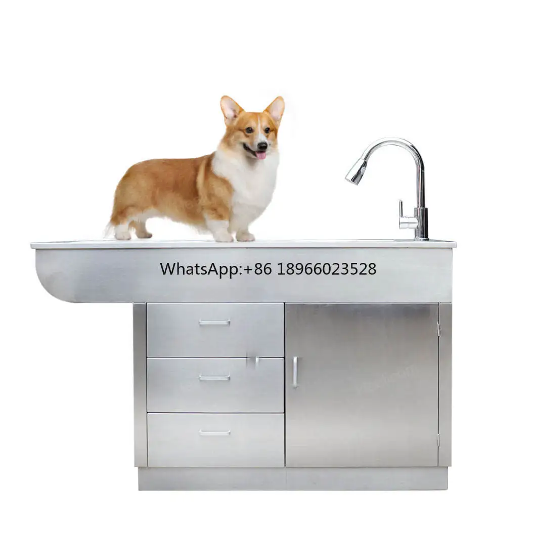 

Hot Sale Veterinary Stainless Steel Animals Dog Cat treatment Examination Table